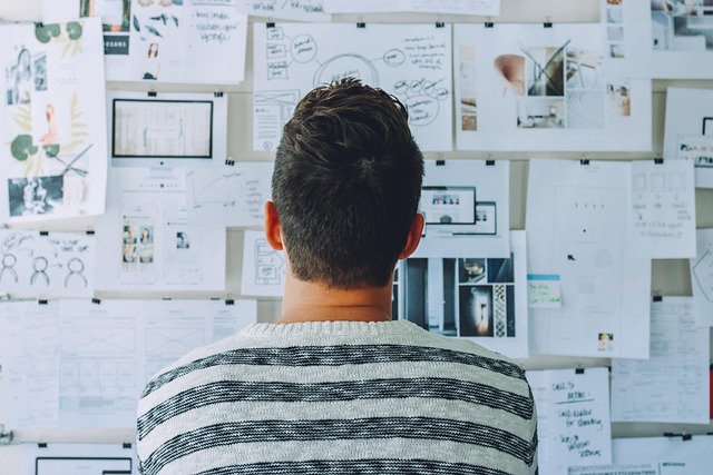 Person looking at display board covered with papers